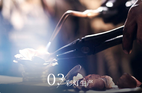 自贡灯会、彩灯彩船制作、会展、仿真恐龙-自贡灯贸
