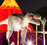 自贡灯会、彩灯彩船制作、会展、仿真恐龙-自贡灯贸